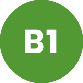 Custom Image