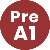 Custom Image